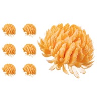 X6 KS CHRYSANTHEM PRODUKTOVÁ HLAVA PRE ZÁVÄZKY X6 KS CHRYSANTHEM PRODUKTOVÁ HLAVA PRE ZÁVÄZKY