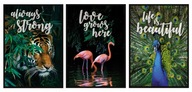 OBRAZOVÉ PLAGÁTY V RÁME 33x43cm Zvieratá Triptych P691 OBRAZOVÉ PLAGÁTY V RÁME 33x43cm Zvieratá Triptych P691