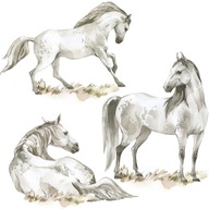 Nálepky na stenu pre dievčatá White Horses Horse