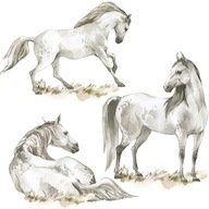 Nálepky na stenu pre dievčatá White Horses Horse Nálepky na stenu pre dievčatá White Horses Horse