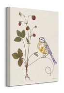 Sýkorka lesná jahoda - maľba na plátne 40x50