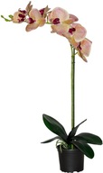 Prémiová umelá orchidea 9 kvetov LIKE LIVE