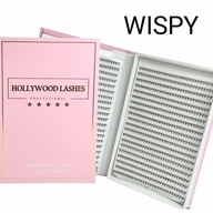 TUNKS EYELASHES FANS READY HOLLYWOOD LASHES 1200ks 5D 0,07C MIX WISPY TUNKS EYELASHES FANS READY HOLLYWOOD LASHES 1200ks 5D 0,07C MIX WISPY