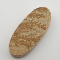 Cabochon psilomelan dendrit ~48x21 mm č. 2 Cabochon psilomelan dendrit ~48x21 mm č. 2