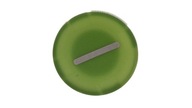 Gombíková vložka 22mm plochá zelená so symbolom