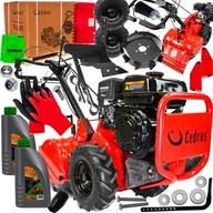 MOTOR CEDRUS ORBA ORBA SET XL MOTOR CEDRUS ORBA ORBA SET XL