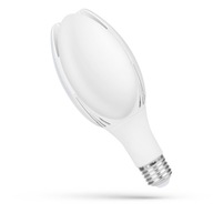 Žiarovka LED pouličné svietidlo E27 50W Parisienne ECO