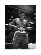 Muhammad Ali Boxer Winner Reprodukcia 60x80 cm Muhammad Ali Boxer Winner Reprodukcia 60x80 cm