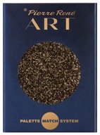 PIERRE RENE Art EYESHADOW 079