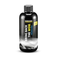 KARCHER RM 660 500 ml 2v1 Autovosk