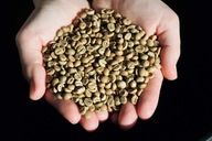 Zelená káva Tanzánia Bukoba Superior 1kg