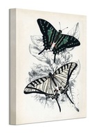 Piddix Two Butterflies Obraz na plátne 30x40 cm