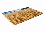 SKLENENÁ KUCHYŇSKÁ DOSKA 40x30 410b Cereál SKLENENÁ KUCHYŇSKÁ DOSKA 40x30 410b Cereál