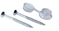 Skrutky 4,5x50 TORX + Krytka na skrutky 100ks Skrutky 4,5x50 TORX + Krytka na skrutky 100ks