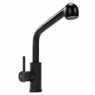 Kuchynská batéria Troy Black Matte Kuchynská batéria Troy Black Matte