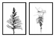 OBRAZOVÉ PLAGÁTY V RÁME 53x73cm Diptych Kvety P1714 OBRAZOVÉ PLAGÁTY V RÁME 53x73cm Diptych Kvety P1714