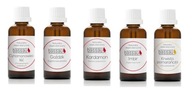 Saunová sada vianočných olejov (5x15 ml) Bassau Saunová sada vianočných olejov (5x15 ml) Bassau