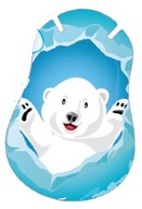 10 ks Polar Bear Náplasti na oči Ortopad MEDIUM