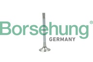 BORSEHUNG B19004 Výfukový ventil BORSEHUNG B19004 Výfukový ventil