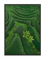 OBRAZOVÝ PLAGÁT V RÁME 43x33 cm Bali P1146 OBRAZOVÝ PLAGÁT V RÁME 43x33 cm Bali P1146