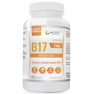 WISH VITAMÍN B17 AMIGDALINA z marhuľových semienok 120 kp