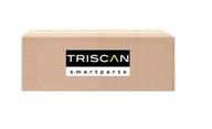 ABS Prsteň DB TRISCAN 8540 23408 ABS Prsteň DB TRISCAN 8540 23408