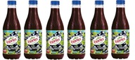 6x 1L fľaša s nektárom HORTEX HORTEX BAL 6x 1L fľaša s nektárom HORTEX HORTEX BAL