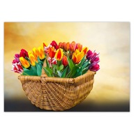 Plagáty 70x50 Tulipány Kvety Kvety Plagáty 70x50 Tulipány Kvety Kvety