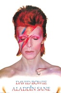 Hudobný plagát David Bowie Aladdin Sane 61x91,5cm Hudobný plagát David Bowie Aladdin Sane 61x91,5cm