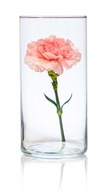 Valcová váza v20cm ⌀10cm