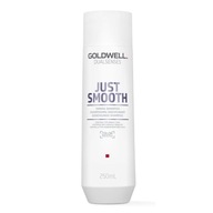 Goldwell Dualsenses Just Smooth šampón na uhladenie vlasov 250 ml