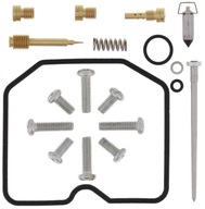 Sada na opravu karburátora Arctic Cat/Textron DVX300
