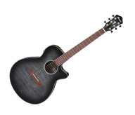 IBANEZ AEG70 TCH ELEKTROakustická gitara