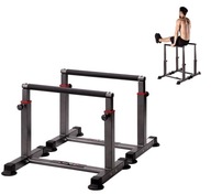 SILY na cvičenie PUSH-UP DIP, STRONG 2 ks HMS SILY na cvičenie PUSH-UP DIP, STRONG 2 ks HMS