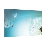 Magnetická sklenená tabuľa Púpava 60x40cm Magnetická sklenená tabuľa Púpava 60x40cm