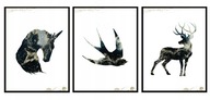 OBRAZOVÉ PLAGÁTY V RÁME 33x43cm Triptych P1392 OBRAZOVÉ PLAGÁTY V RÁME 33x43cm Triptych P1392