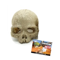 Reptile Nova Skull Lebka primáta Terárium Dekorácia 11x14cm Reptile Nova Skull Lebka primáta Terárium Dekorácia 11x14cm