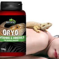 AKÉ VITAMÍNY SI VYBRAŤ PRI CHOVATE AGAMY fúzatých AKÉ VITAMÍNY SI VYBRAŤ PRI CHOVATE AGAMY fúzatých