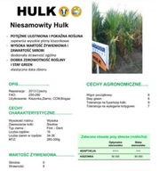 Semená kukurice Corn Mas Hulk 80 tisíc C/1