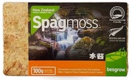 BESGROW SPAGMOSS Novozélandský Sphagnum Moss 100g BESGROW SPAGMOSS Novozélandský Sphagnum Moss 100g