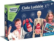 Zostava ľudského tela z kostry a orgánov Clemento Zostava ľudského tela z kostry a orgánov Clemento