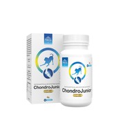 POKUŠENIE Chondroline JUNIOR 120 tabliet na kĺby POKUŠENIE Chondroline JUNIOR 120 tabliet na kĺby