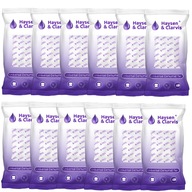 NÁPLNE DO ABSORPTORA VLHKOSTI 250G x 12 KS NÁPLNE DO ABSORPTORA VLHKOSTI 250G x 12 KS