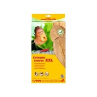 SYROVÉ MANDĽOVÉ LISTY CATAPPA LISTY XXL 10KS SYROVÉ MANDĽOVÉ LISTY CATAPPA LISTY XXL 10KS