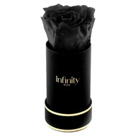 Kvetináč čierna voňavá večná ruža ako darček