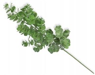 EUKALIPTUS vetvička, umelé kvety, listy, 70 cm