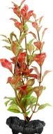 Tetra DecoArt Red Ludwigia L - červená ludwigia Tetra DecoArt Red Ludwigia L - červená ludwigia