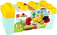LEGO DUPLO Creative Play Crop Garden 10984