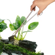 PREPLŇOVANIE RASTLÍN V AKVÁRIOVÝCH NOŽNÍČKÁCH PRIAMYCH 25 CM PREPLŇOVANIE RASTLÍN V AKVÁRIOVÝCH NOŽNÍČKÁCH PRIAMYCH 25 CM