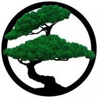 Obrázok Bonsai strom, tmavý mach, chrobotek, 70 cm
